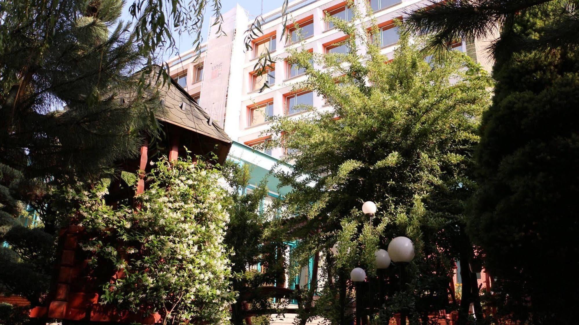 Hotel Carpati Baia Mare Eksteriør bilde